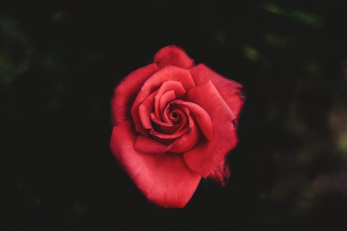 A Poem From My Soulmate